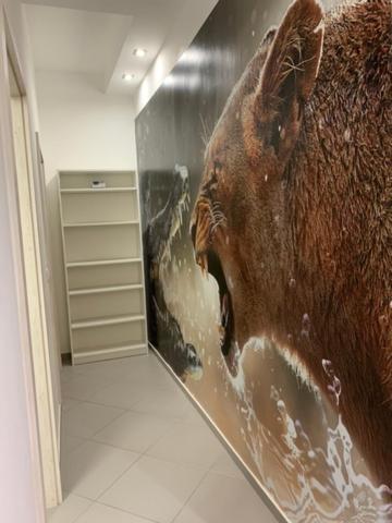 בודפשט Castle Hill Safari Apartment מראה חיצוני תמונה